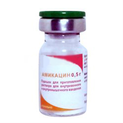 Амикацин порошок для приготовления раствора для внутривенного и внутримышечного введения 500 мг флакон 1 шт.