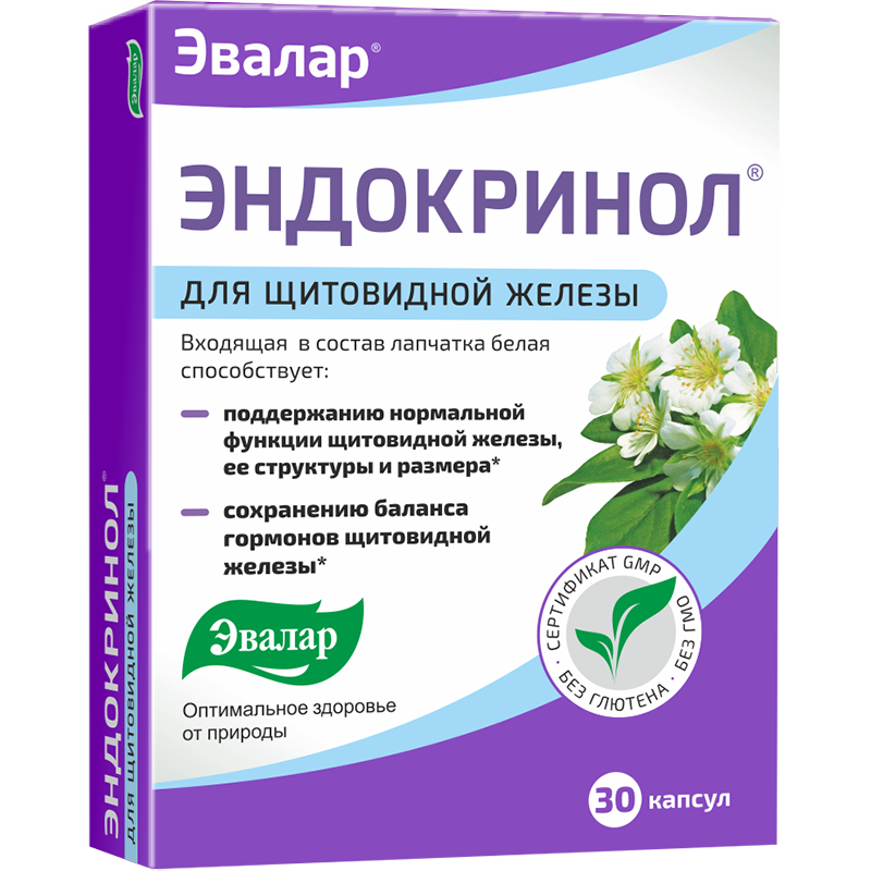 Мокрица-трава: лечебные свойства и применение - manikyrsha.ru