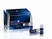 Phyto Phytolium 4 Сыворотка против выпадения волос ампулы 2 мл 12 шт.