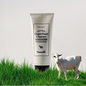 Tony Moly Пенка увлажняющая на основе козьего молока Naturalth Goat Milk Cream Foam Cleanser 200 мл