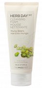 The Face Shop Пенка для умывания с экстрактом семян маша Herb Day Cleansing Foam 170 мл