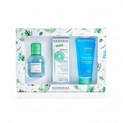 Bioderma Набор Sebium Крем 30 мл + Мицеллярная вода 100 мл + Гель очищающий 100 мл