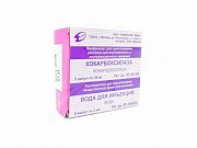 Кокарбоксилаза лиофилизат для приготовления раствора для внутривенного и внутримышечного введения 50 мг 5 шт. + растворитель 2 мл 5 шт. Кокарбоксилаза лиофилизат для приготовления раствора для внутривенного и внутримышечного введения 50 мг 5 шт. + растворитель 2 мл 5 шт.